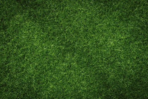 Zöld Textúra Háttér Kert Koncepció Használják Hogy Zöld Háttér Futballpálya — Stock Fotó