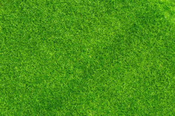 Erba Verde Texture Sfondo Erba Giardino Concetto Utilizzato Fare Verde — Foto Stock