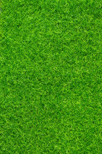 绿草纹理背景草花园概念用于制作绿色背景足球场 草地高尔夫 绿色草坪图案纹理背景 — 图库照片