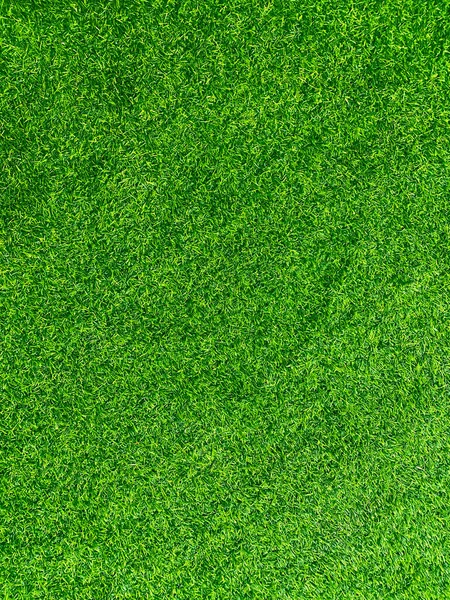 Verde Hierba Textura Fondo Hierba Jardín Concepto Utilizado Para Hacer — Foto de Stock