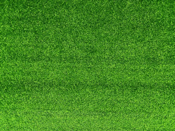 Erba Verde Texture Sfondo Erba Giardino Concetto Utilizzato Fare Verde — Foto Stock