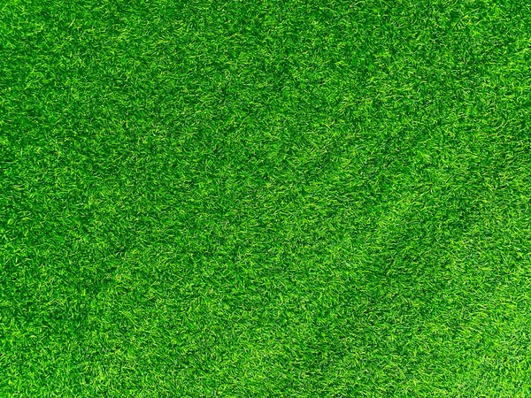 Yeşil Çimen Dokusu Arka Plan Çimen Bahçe Konsepti Yeşil Arka — Stok fotoğraf
