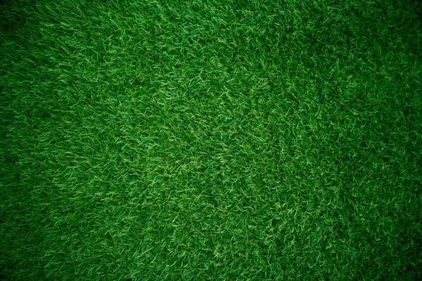 Zielona Trawa Tekstura Tło Trawa Ogród Koncepcja Stosowana Tworzenia Zielonego — Zdjęcie stockowe