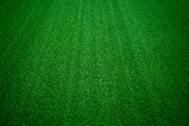 Yeşil çimen dokusu arka plan çimen bahçe konsepti yeşil arka plan futbol sahası, çim golf, yeşil çimen desenli arka plan.