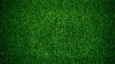 Yeşil çimen dokusu arka plan çimen bahçe konsepti yeşil arka plan futbol sahası, çim golf, yeşil çimen desenli arka plan.