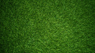 Yeşil çimen dokusu arka plan çimen bahçe konsepti yeşil arka plan futbol sahası, çim golf, yeşil çimen desenli arka plan.