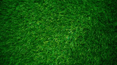 Yeşil çimen dokusu arka plan çimen bahçe konsepti yeşil arka plan futbol sahası, çim golf, yeşil çimen desenli arka plan.