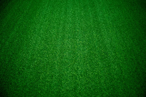 Green Grass Texture Background Grass Garden Concept Used Making Green — Stock Photo, Image