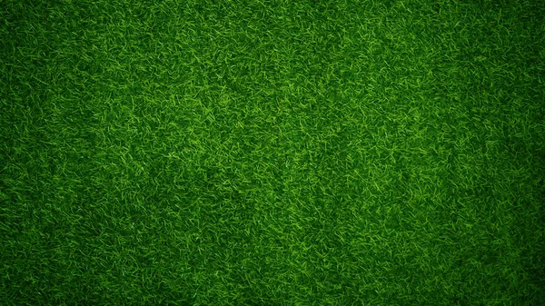 Zelená Tráva Textura Pozadí Tráva Zahrada Koncept Použitý Pro Výrobu — Stock fotografie