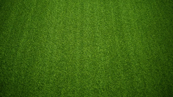 Концепція Зеленої Трави Текстури Фону Трав Яного Саду Використовується Створення — стокове фото