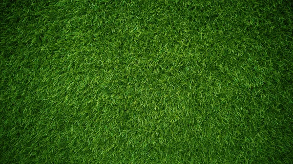 Πράσινο Γρασίδι Υφή Φόντο Γρασίδι Έννοια Κήπο Που Χρησιμοποιείται Για — Φωτογραφία Αρχείου