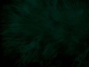 Yeşil, temiz yün dokusu arka planı. hafif doğal koyun yünü. Zümrüt pürüzsüz pamuk. Tasarımcılar için tüylü kürk dokusu. Yakın plan lüks yün halı..