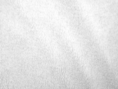 White clean wool texture background. light natural sheep wool. white seamless cotton. texture of fluffy fur for designers. close-up fragment white wool carpet.	