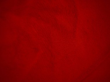 Kırmızı, temiz yün dokusu arka plan. hafif doğal koyun yünü. Kırmızı, dikişsiz pamuk. Tasarımcılar için tüylü kürk dokusu. yakın plan kırmızı yün halı..