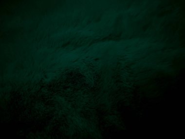 yeşil temiz yün dokusu soyut arkaplan. Gradyan siyah doğal saç teli. Beyaz, pürüzsüz pamuk. Tasarımcılar için tüylü kürk dokusu. yakın plan beyaz yün halı..