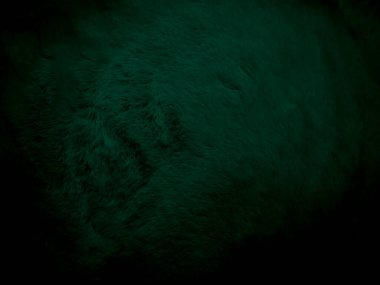 Kırmızı temiz yün dokusu arkaplan soyut. Gradyan siyah doğal saç teli. Beyaz, pürüzsüz pamuk. Tasarımcılar için tüylü kürk dokusu. ipek parçalı yün halı için lüks kırmızı.