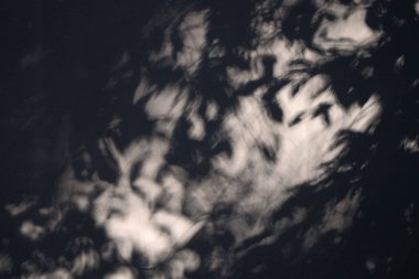 Beyaz beton duvarın gölgesiz dokusu pürüzsüz bir yüzey ve yaprak gölgesi, metin için boşluk, arkaplan için boşluk