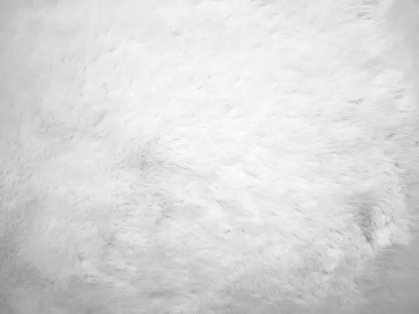 White Clean Wool Texture Background Light Natural Sheep Wool White — Stock Photo, Image