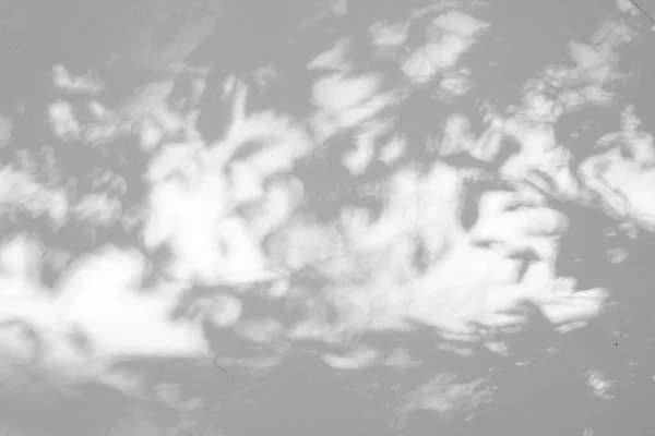 Silhueta Sombra Textura Sem Costura Parede Cimento Branco Uma Superfície — Fotografia de Stock
