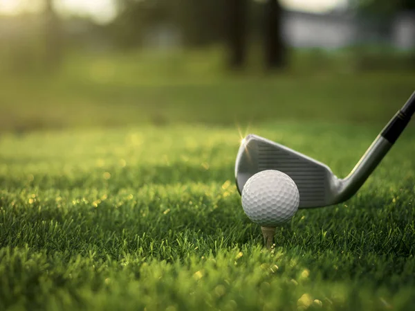 Golf topu golf arka planının bulanık güzellikteki golf sahasında çimlere yakın duruyor. Sağlık gevşemesi için hassas becerilere dayanan uluslararası spor kavramını kabul edin.