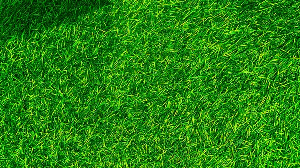 Grama Verde Textura Fundo Grama Jardim Conceito Usado Para Fazer — Fotografia de Stock