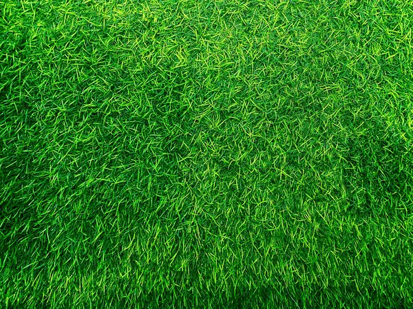 Зеленая Трава Текстура Фона Трава Садовая Концепция Используется Создания Зеленого — стоковое фото