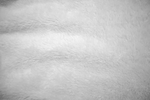 청결한 짜임새 가벼운 자연적인 이음새가 디자이너를위한 부드러운 모피의 클로즈업 프래그먼트 — 스톡 사진