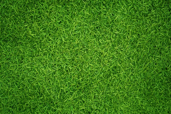 緑の芝生のテクスチャの背景の草の庭のコンセプトは 緑の背景のサッカーピッチ 草のゴルフ 緑の芝生のパターンのテクスチャの背景を作るために使用 — ストック写真