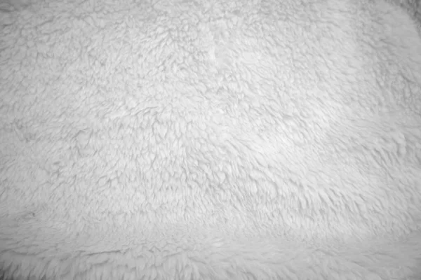 白色干净的羊毛质地背景 轻盈的天然羊毛 白色无缝棉 设计师用绒毛的质地 特写片断白色羊毛地毯 山羊毛 — 图库照片