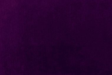 Purple velvet fabric texture used as background. Empty purple fabric background of soft and smooth textile material. There is space for text..	