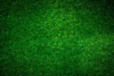 Yeşil çimen dokusu arka plan çimen bahçe konsepti yeşil arka plan futbol sahası, çim golf, yeşil çimen desenli arka plan.