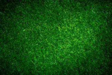 Yeşil çimen dokusu arka plan çimen bahçe konsepti yeşil arka plan futbol sahası, çim golf, yeşil çimen desenli arka plan.