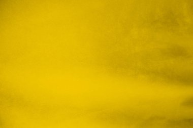 golden velvet fabric texture used as background. blond color panne fabric background of soft and smooth textile material. crushed velvet .luxury yellow tone for silk..	