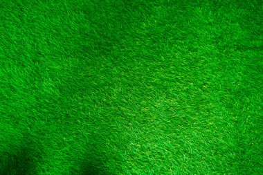 Green grass texture background grass garden concept used for making green background football pitch, Grass Golf, green lawn pattern textured background......	