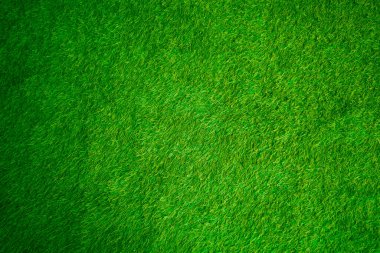 Green grass texture background grass garden concept used for making green background football pitch, Grass Golf, green lawn pattern textured background......	