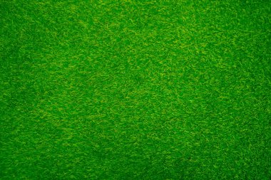 Green grass texture background grass garden concept used for making green background football pitch, Grass Golf, green lawn pattern textured background......	