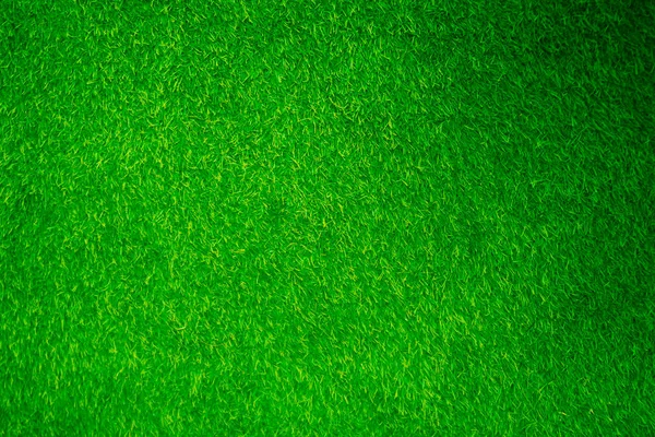 Green grass texture background grass garden concept used for making green background football pitch, Grass Golf, green lawn pattern textured background......	