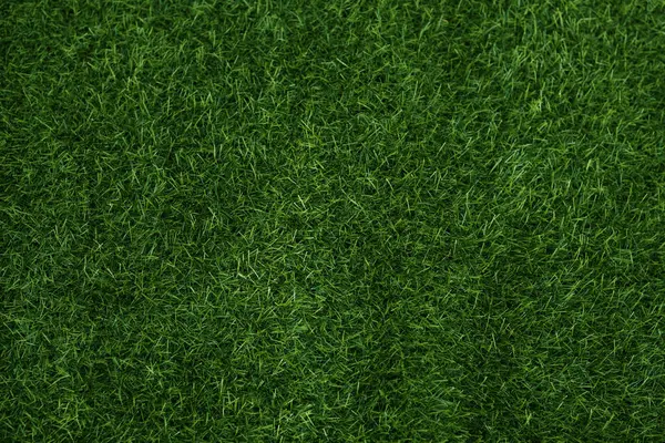 Green Grass Texture Background Grass Garden Concept Used Making Green Royaltyfria Stockfoton