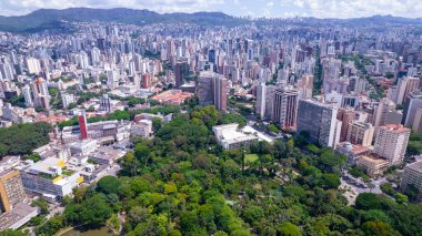 Aerial view of Americo Renne Giannetti Park, Belo Horizonte, Minas Gerais, Brazil. City center.