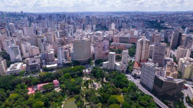 Aerial view of Americo Renne Giannetti Park, Belo Horizonte, Minas Gerais, Brazil. City center.
