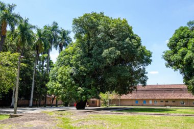 Burle Marx Parkı, Sao Jose dos Campos, Brezilya 'da şehir parkı. Şehirde büyük bir park..