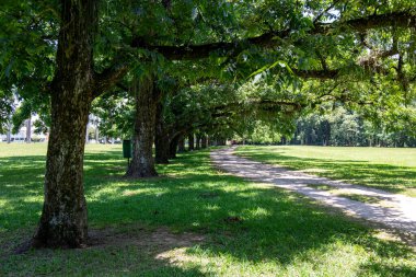 Burle Marx Parkı, Sso Jose dos Campos, Brezilya 'da şehir parkı. Şehirde büyük bir park..
