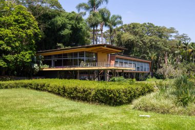 Burle Marx Parkı - Parque da Cidade, Sao Jose dos Campos, Brezilya. Uzun ve güzel palmiye ağaçları