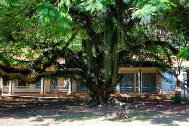 Parque Vicentina Aranha, in Sao Jose dos Campos, Brazil. Chapel and Old Sanatorium