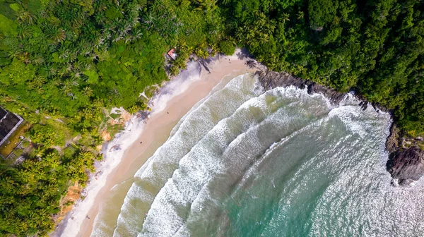 Aerial view of Jerubucacu beach in Itacare, Bahia, Brazil. Tourist place with sea and vegetation.
