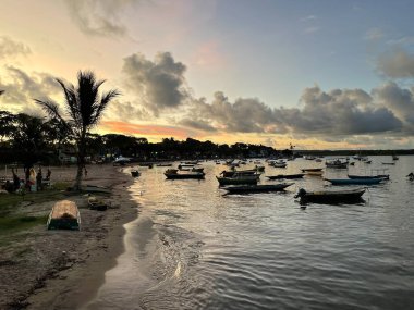 Itacare beach, Bahia, Brazil. Village with fishing boats and vegetation