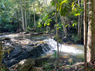 Cleandro waterfall in Itacare, Bahia, Brazil