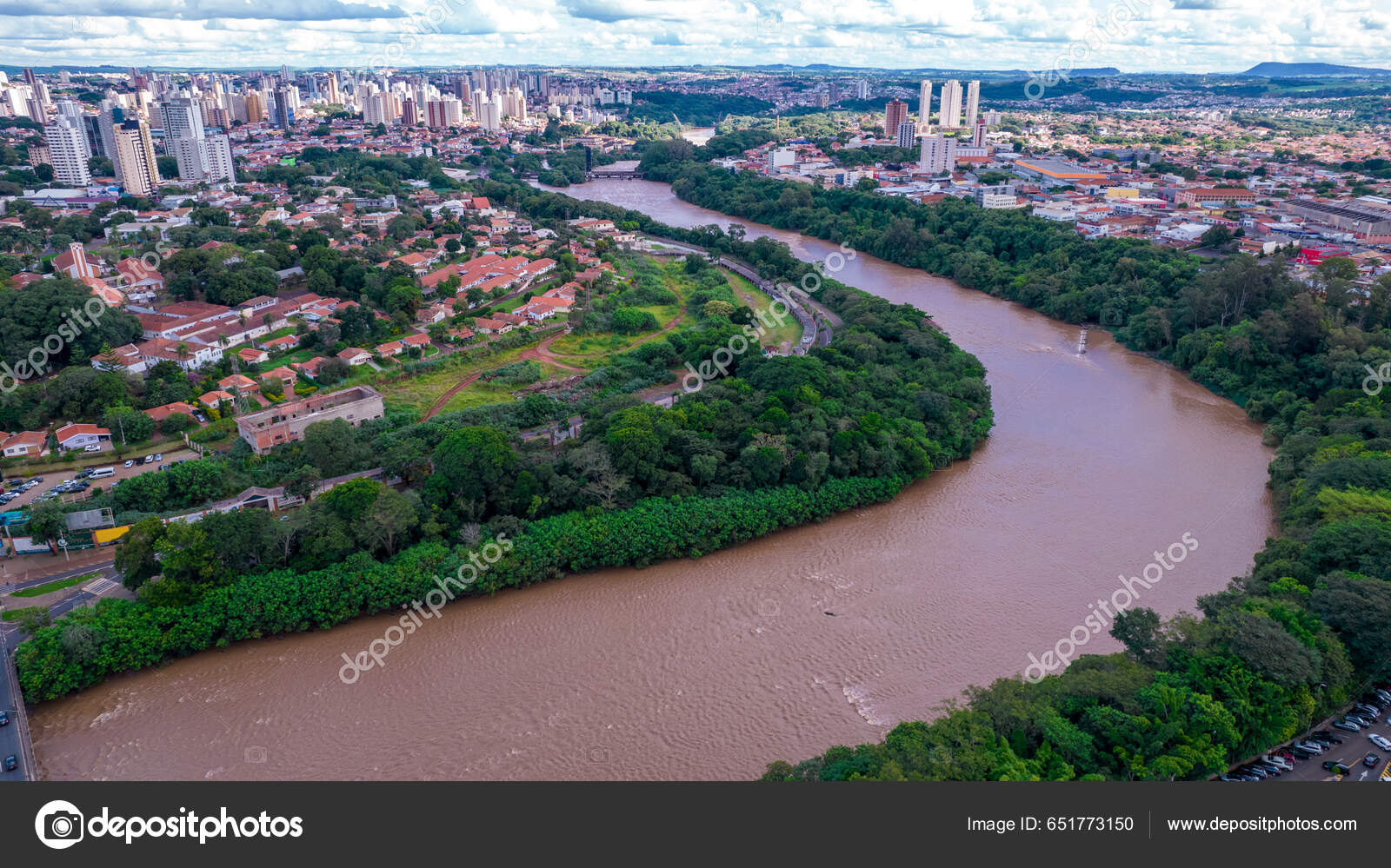Capivaras são vistas com frequência no entorno da orla do Rio Piracicaba