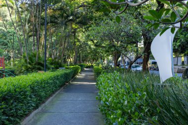 Vila Nova Conceicao mahallesindeki Pereira Coutinho Meydanı,