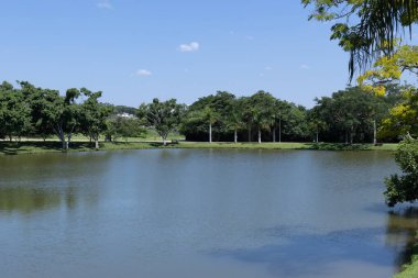 Jundiai, Sao Paulo, Brezilya 'daki Engordadouro Parkı.